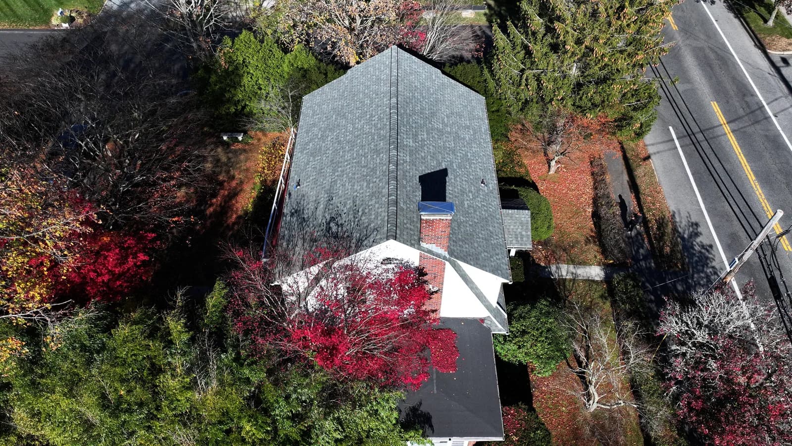 Completed roof replacement by Roofing Doctor, November 2025 — aerial view of new architectural asphalt shingles